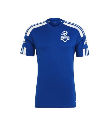 Bluza bramkarska AM / AMP